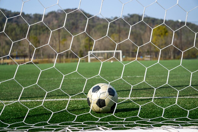 不论你的体 不论你的体