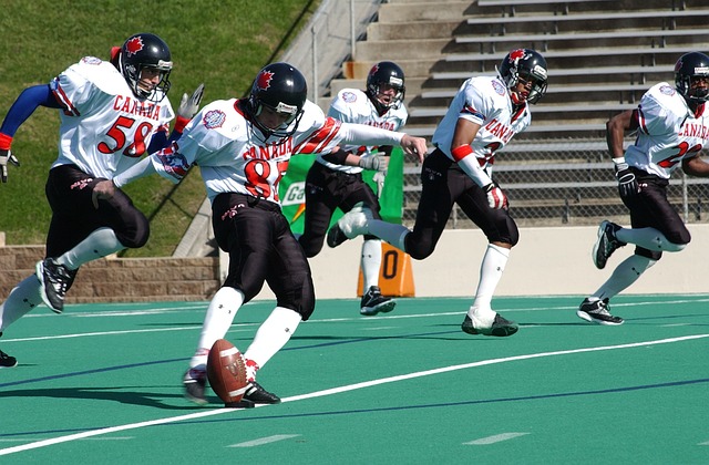 意外获得的 意外获得的