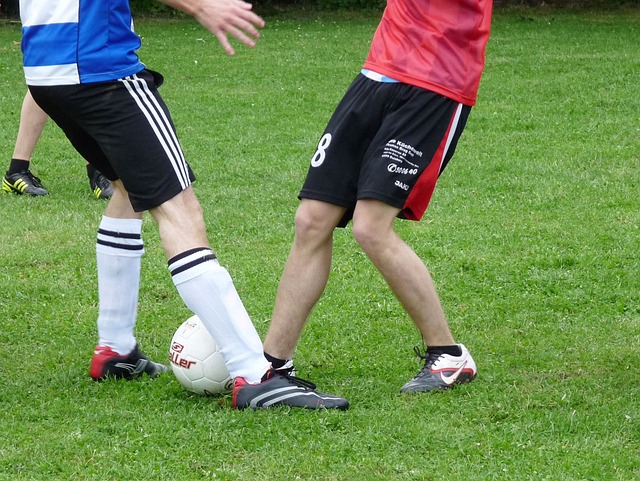 都在证实着 都在证实着