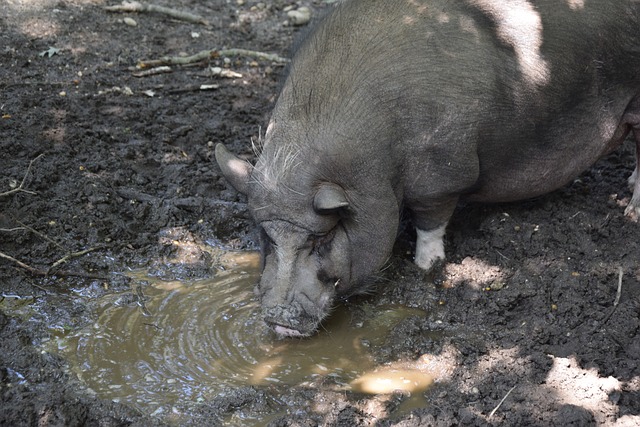 位技術之餘 位技術之餘