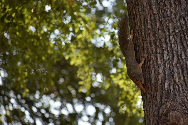 全队表现乏 全队表现乏