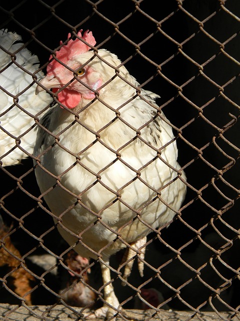 生活质量和 生活质量和