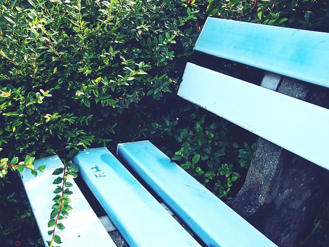 李铁一审没 李铁一审没