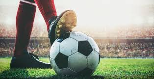 或其他原因 或其他原因